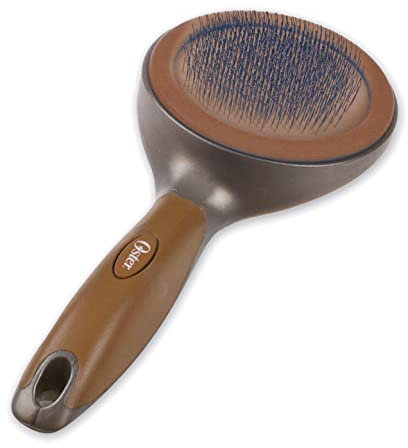 Oster Carda grande Premium