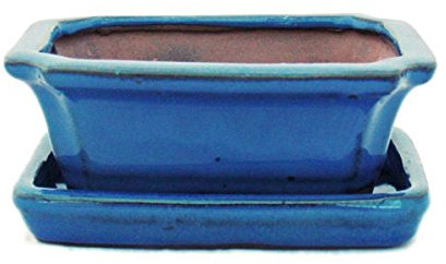 exotenherz - Bonsai-Schale mit Unterteller Gr. 1 - Blau - eckig - Modell G13 - L 12cm - B 9,5cm - H 4,5 cm