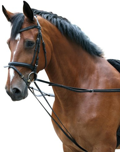 PFIFF Rênes allemandes pour longer Noir Full/Warmblut