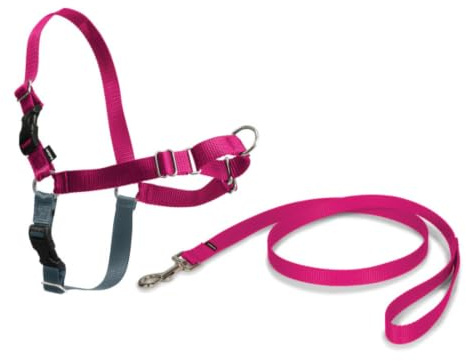 PetSafe Easy Walk Harness, No-Pull Walking Harness for Dogs, Adjustable Fit, Includes 1.8m Lead, Medium-Raspberry, Medium