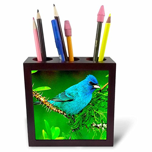 3dRose LLC Indigo Bunting 5-Inch Tile Pen Holder