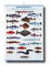 Fischtafel, Salzwasser-Fische, Maße 100/69cm, Type: MEERESFISCHE I