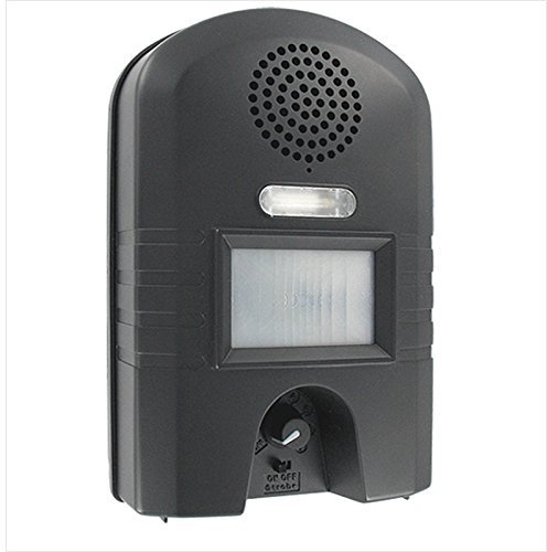 Ultrason Garden Protector Deluxe anti chats chiens fouines renards lapins