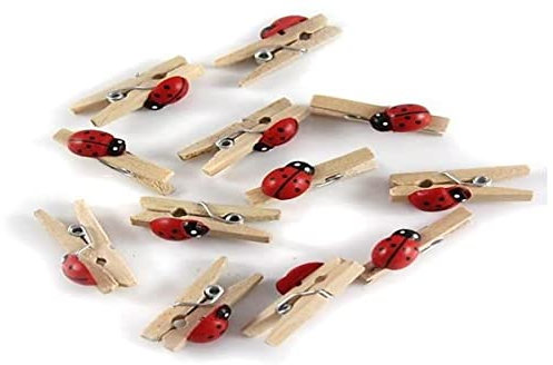 GLOREX Coccinella Mini molletta in legno, multicolore, 11 x 5,6 x 1 cm, 12 unità