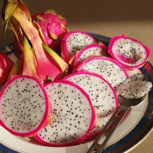 Plant World Seeds - Dragon Fruit Seeds (Tropical Fruit Seeds)