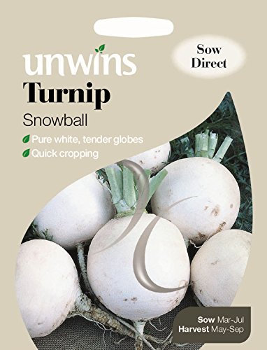 Unwins Pictorial Packet - Turnip Snowball - 1800 Seeds