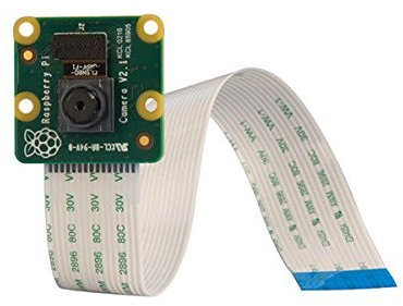 Module caméra V2.1 pour Raspberry Pi avec filtre infrarouge