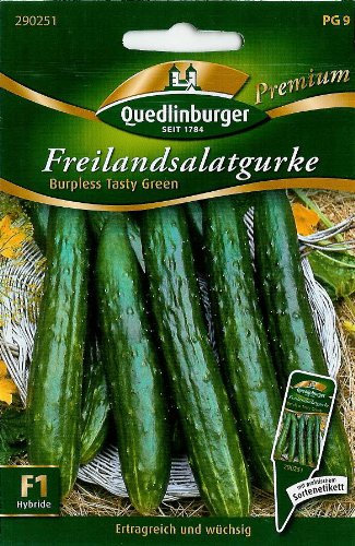 Freilandsalatgurke, Burpless Tasty Green F1