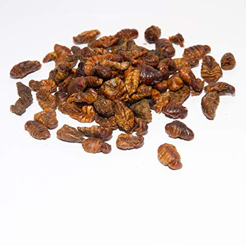 Warnick´s Tierfutterservice Seidenraupen getrocknet * Koifutter * Reptilienfutter - Schildkrötenfutter (10 Liter)