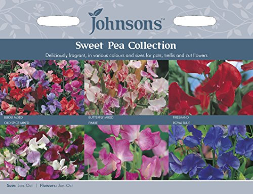 Johnsons 14174 Flower Seeds, Sweet Pea Collection