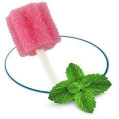 Mundpflegestäbchen Wattestäbchen Geschmack Minze Box a 250 Stck Mundhygiene AMPRI einzeln hygienisch verpackt