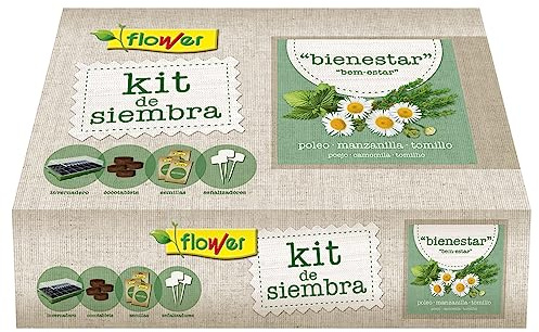 Flower - Kit de Siembra para Infusiones Bienestar | Invernadero y Herramientas Incluidas | Semillas de Poleo, Manzanilla, Tomillo | 38x24.5x9.5 cm, Semilla