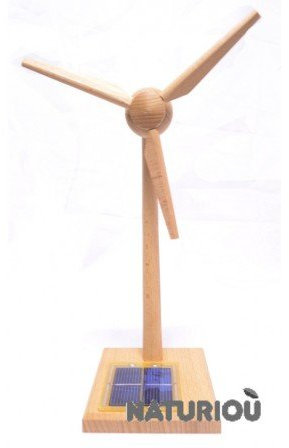 Eolienne solaire en bois