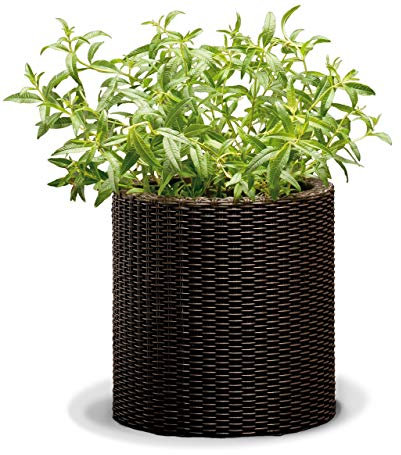 Keter- Maceta Mediana ratán, Base Redonda; 100% Material Reciclado;36 x 36 x 37,3 cm ; Capacidad 18 L; Color Marrón Chocolate