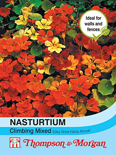 Thompson & Morgan - Flowers - Nasturtium Climbing Mixed - 40 Seed