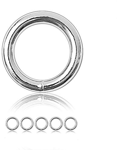 Ganzoo O-ring metallring i silver för hantverk och djurtillbehör, 25 mm innerdiameter, 5-pack, legerat stål rostskyddat med punktad skarv, för hundkoppel, hundhalsband, paracord 550, väskdetaljer