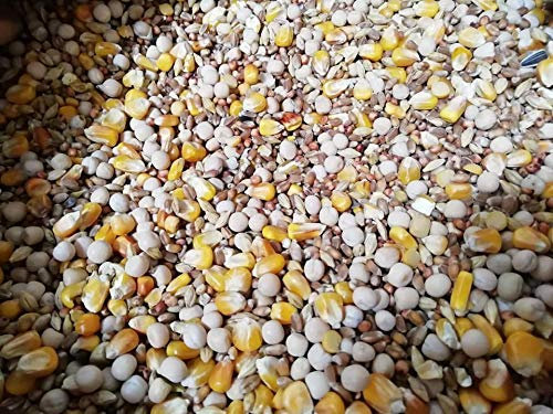 RUKU Taubenfutter Standard 25Kg