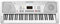 Funkey 61 SL Keyboard Silber (61 Tasten, 100 Klangfarben, 100 Rhythmen, 8 Demo Songs, Netzteil, Notenständer)