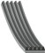 febi bilstein 28888 Keilrippenriemen , Rippenanzahl 5 , 1 Stück, Schwarz
