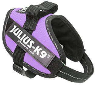 JULIUS K-9 IDC Powergeschirr, Größe: S / Mini, Lila, 16IDC-PR-M