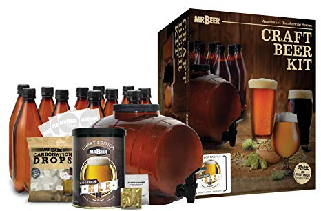 Mr. Beer - Craft Beer Making Kit (2 Gallon) Complete DIY Home Brew Set | Beer Making Kit for Beginners Everything Included | Reusable 25 oz Bottles | 2 Gallon Keg | Golden Ale
