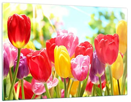 ARTTOR Wandbilder Dekoration Wohnzimmer Tulpe Blume Garten Plantage Bilder auf Glas 120x80cm Glasbild Schlafzimmer Küche Deko Wand Kunstdruck Art Groß XXL Wanddeko Bild im Glas Modern GAA120x80-2466