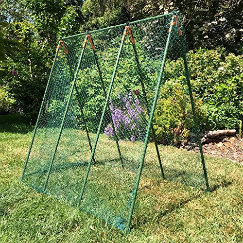 GardenSkill Treillis de Jardin Support pour Plantes Grimpantes 100x120 cm | Treillage pour la Culture de Pois Grimpants, Semis | Tuteurs Petit Pois avec Filet Potager | Résistant à la Rouille