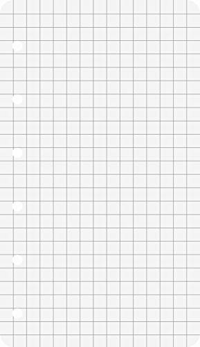 Ringbuch - Einlagen/Papier BRUNNEN 50 Blatt - kariert (7,4 x 12,8 cm)