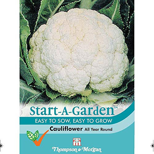 Thompson & Morgan - Start-A-Garden Vegetable - Cauliflower All The Year Round - 150 Seed