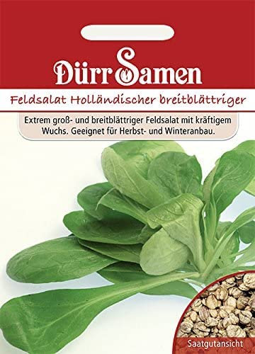 Dürr-Samen - Feldsalat Holländer Saatgut