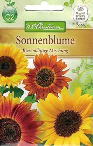 Chrestensen Tournesol « Mélange de fleurs géantes ».