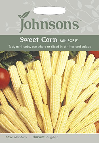 Johnsons Sweet Corn Minipop F1