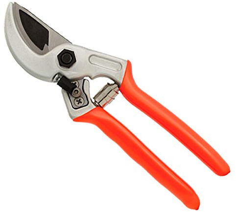 Castellari - Tijeras universales para podar, jardinería y viñas, 21 cm (Made in Italy)