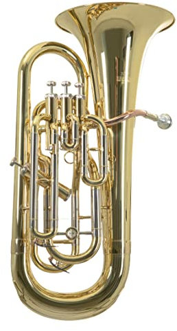 Roy Benson Bb-Euphonium EP-302 (Professionelles Blasinstrument, mit Goldmessing Mundrohr, Neusilber Außenzüge, Edelstahl Ventile, mit komfortablem Formetui)