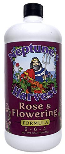 Neptune's Harvest Rose & Flowering Fertilizer (2-6-4) - 36oz Bottle - Organic Liquid Food for Vibrant Blooms & Growth - Promotes Healthy Foliage - Ideal Fertilizer for Indoor & Outdoor Use