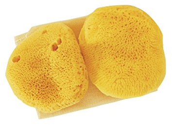Sea Pearls- Premium Ultra Soft Reusable Sea Sponges- Large 2-Pack