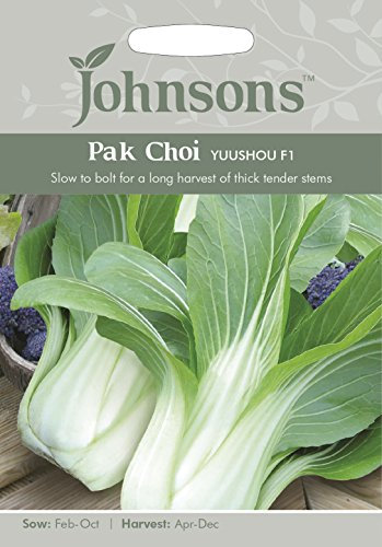 Johnsons 20858 Vegetable Seeds, PAK Choi Yuushou F1