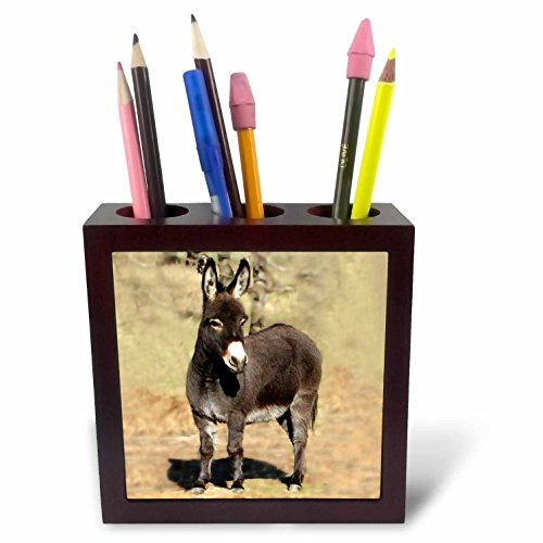 3drose Miniature Donkey Pen Holder Image Tile, 5-Inch