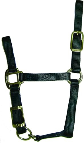 Hamilton Quality Horse Halter, 3/4 Triple Ply Nylon, Adjustable Chin Strap, Pony or Mini Donkey, 100-200 lbs, Dark Green