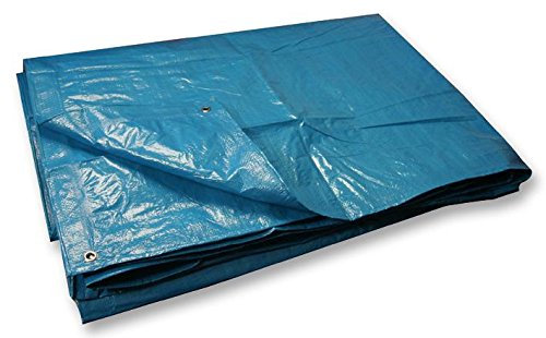 Duratool D00064 Multi-Purpose Reversible Tarpaulin, 6ft x 4ft,Blue