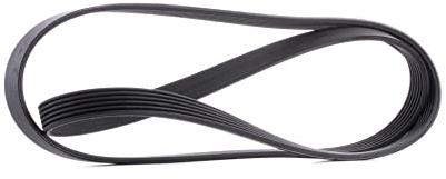 CONTITECH 6PK1605 Correa trapecial poli V