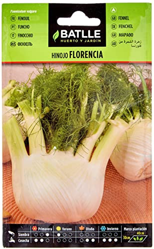 Graines aromatiques de Batlle - Fenouil de Florence (10g)