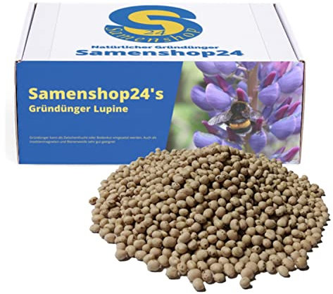 Dünge-Lupinen Blau 2,5 kg – Gründüngung, Zwischenfrucht, Stickstofflieferant, Bodengesundheit