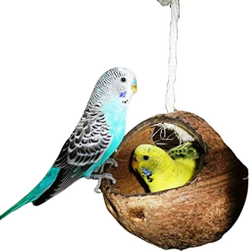 Vogelgaleria® Schaukel für Wellensittich & Nymphensittich | Vogelschaukel Kokosnuss | Wellensittich Zubehör