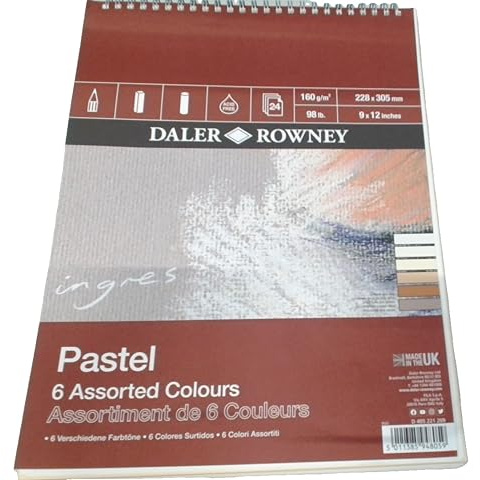 Daler Rowney Ingres - Blocco a spirale in carta pastello, 160 g/m², 30,5 x 22,9 cm, texture vergata, 6 colori assortiti, 24 fogli, ideale per artisti professionisti