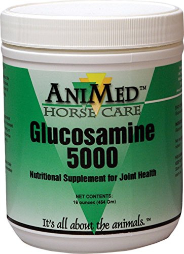 AniMed Horse Care Glukosamine 5000 Feed Supplement Powder Joint Health 1lbs burk