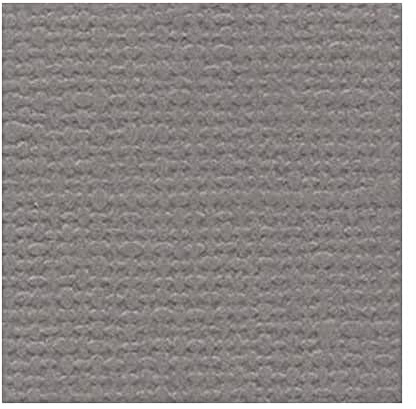 Bazzill Basics Paper 25 Scrapbooking Sheets Grasscloth Stonehenge, Brown