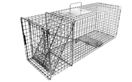 Tomahawk Live Trap - Model 108.1 - Original Series Rigid Live Trap with one Trap Door - 32x10x12 for Raccoon, Feral Cat, Badger, Woodchuck, Armadillo Sized Animals