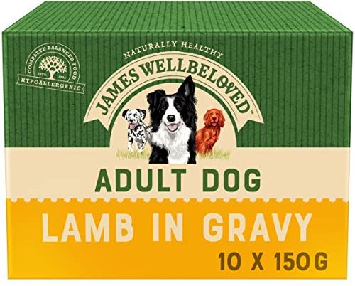 James Wellbeloved Adult Lamb in Gravy 10 Pouches, Hypoallergenic Wet Dog Food, Pack of 1 (10x150 g)