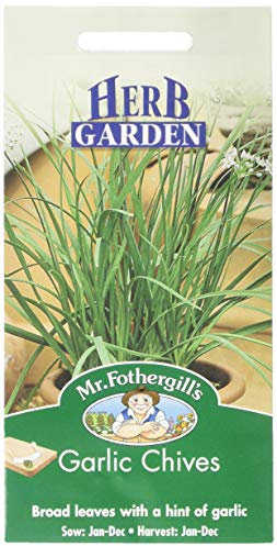 Mr Fothergill's 10464 Herb Seeds, Garlic Chives, Cream